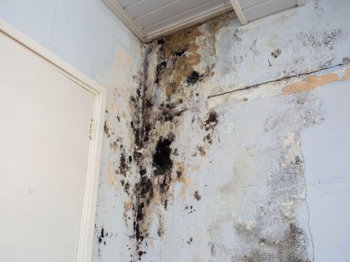 Interior Water Stains in Delaware County, PA