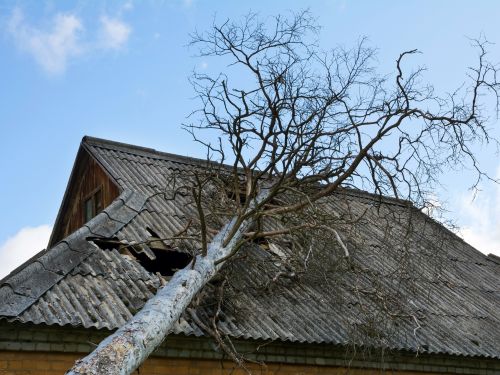 Storm Damage in Delaware County, PA