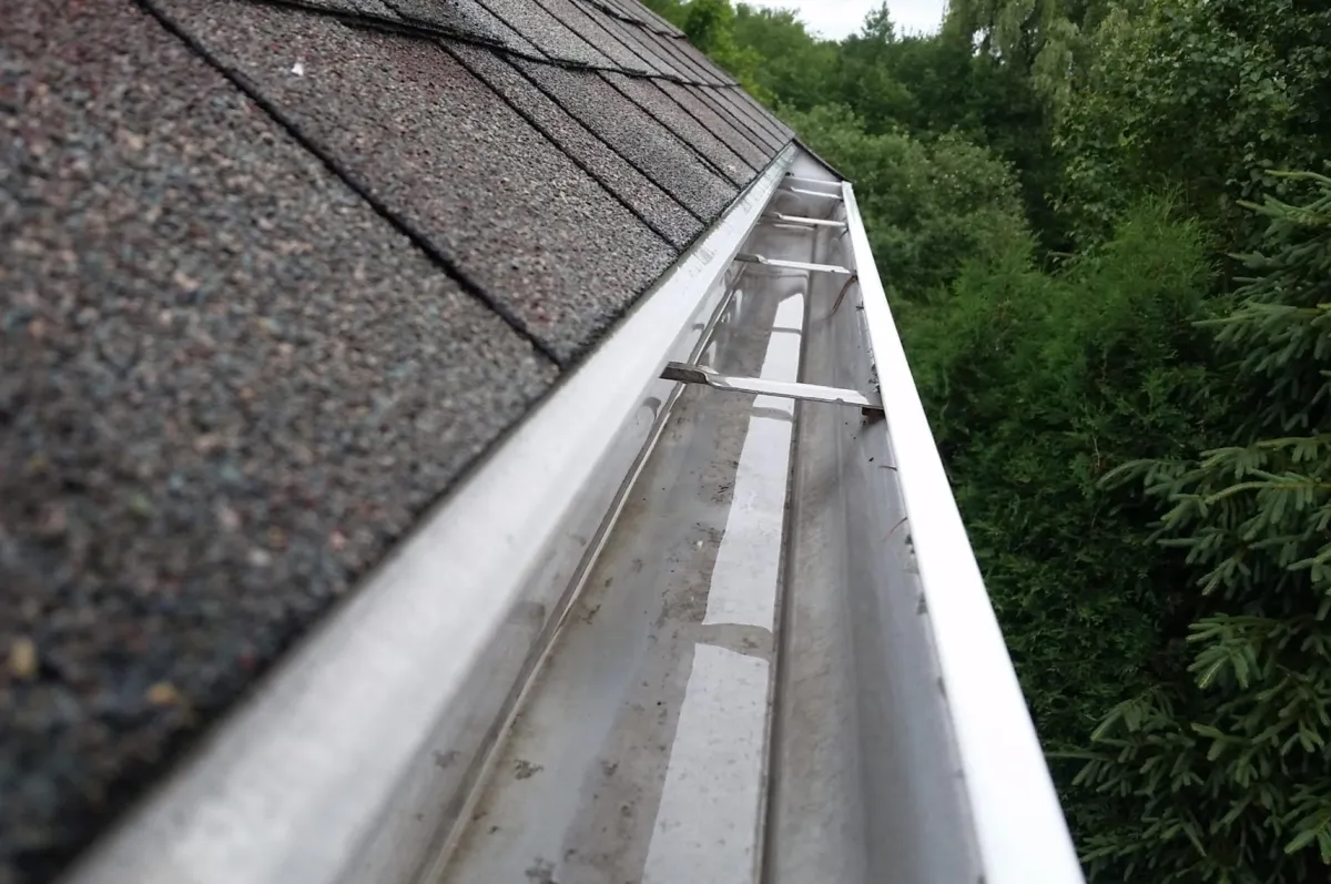 Cose-up image of clean gutters next to pine trees