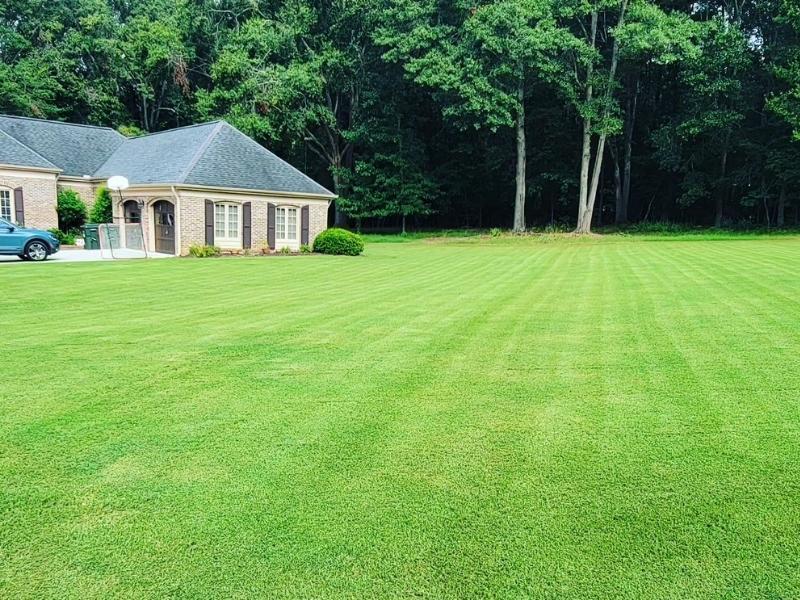 Vibrant green lawn showing results of Aerations R US core aeration in Simpsonville and Woodruff, SC