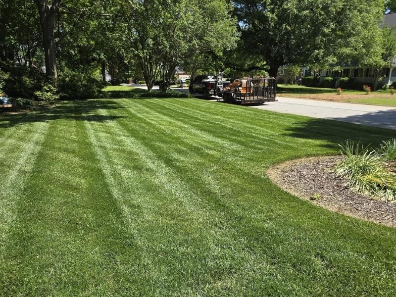 Professional Core Aeration Services by Aerations R US in Woodruff, SC