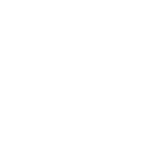 Process Optimization Icon