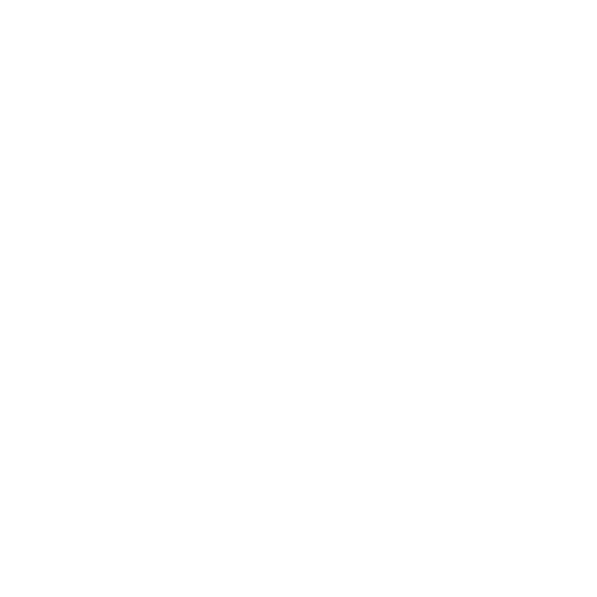 Structuring Of Investments Icon