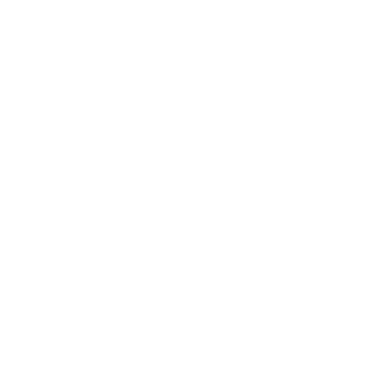 Portfolio Development Icon