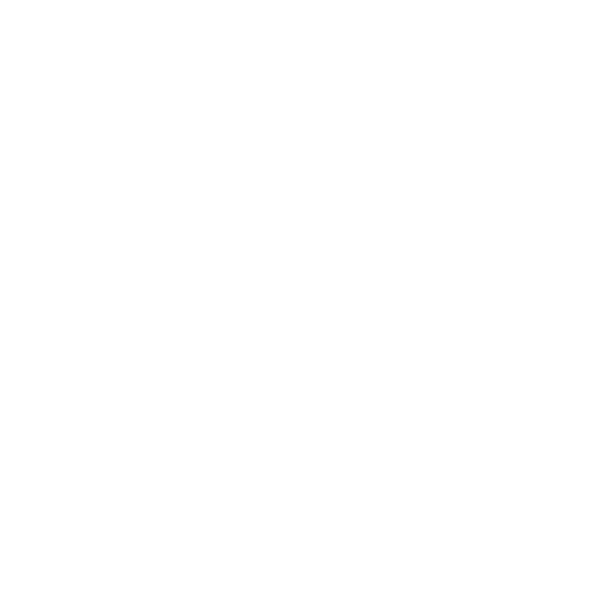 International Company Formation Icon