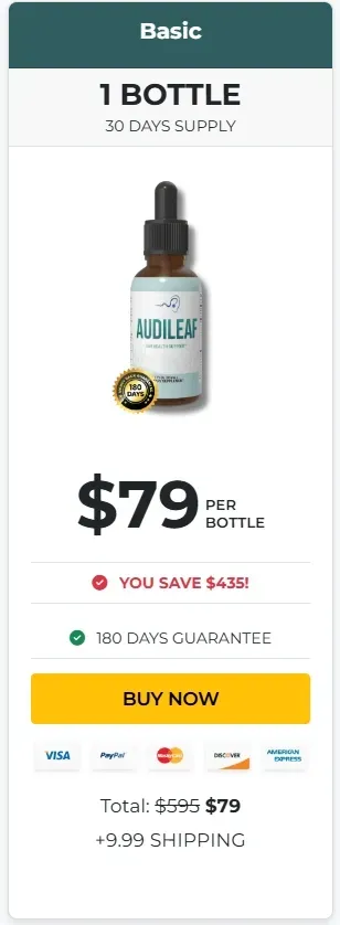 AudiLeaf official website