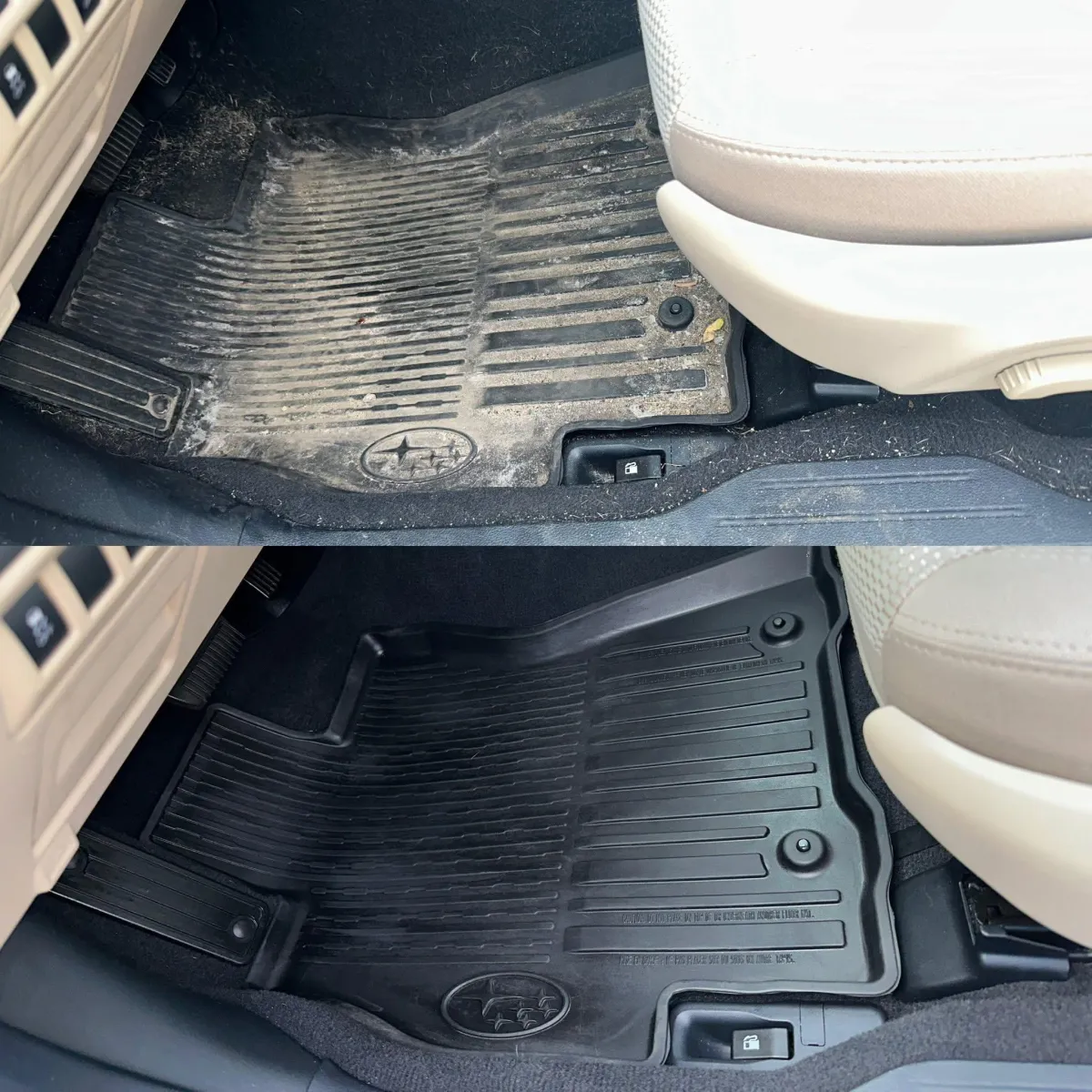 Asheville Interior Detailing