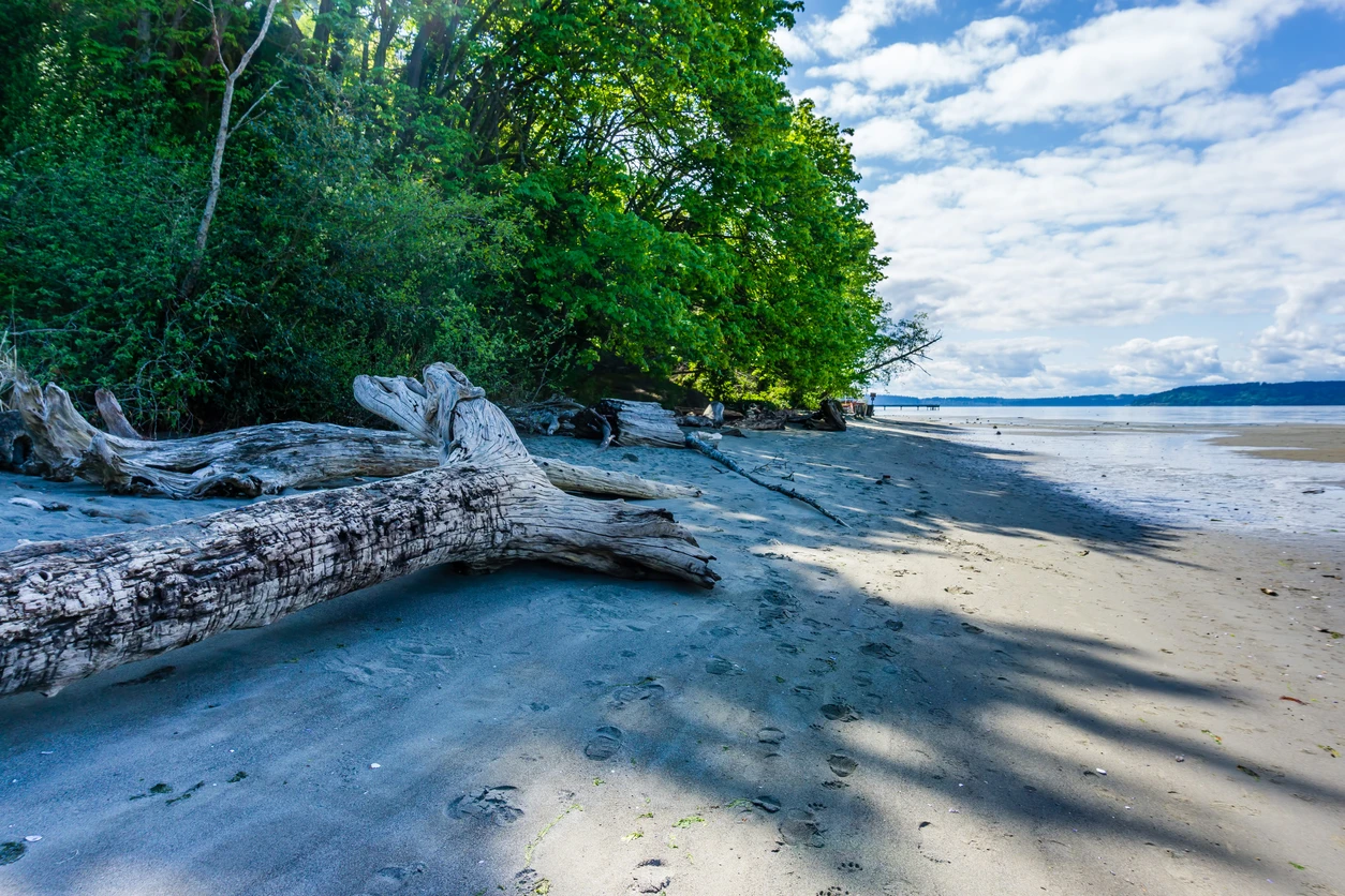 🚗 Driving Guide to Dash Point State Park: Parking, Views & Travel Tips | Rain City Car Rentals, Federal Way, WA