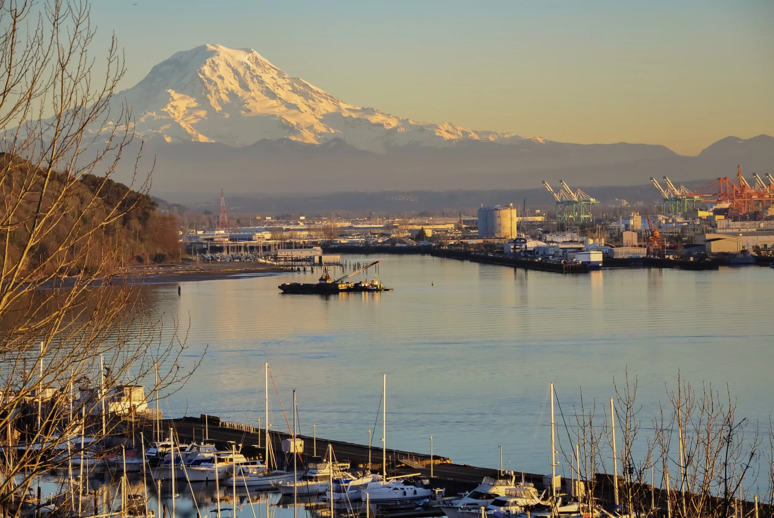 🍽️ Best Restaurants in Federal Way Worth Driving To (Local Foodie Guide) | Rain City Car Rentals – Federal Way, WA