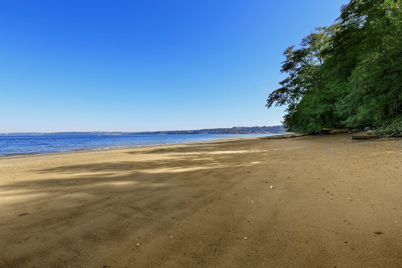 Top Beaches Near Federal Way You Can Visit With a Rental Car | Rain City Car Rentals, Federal Way, WA 🌊🚗☀️