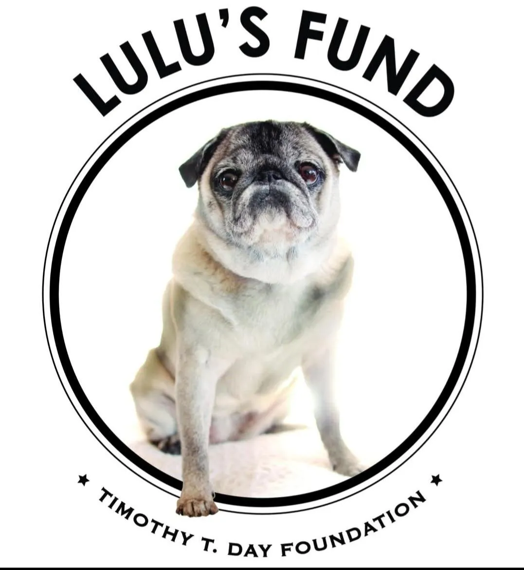 Lulu's fund supporting the 3rd Annual St. Patrick's Day Fundraiser