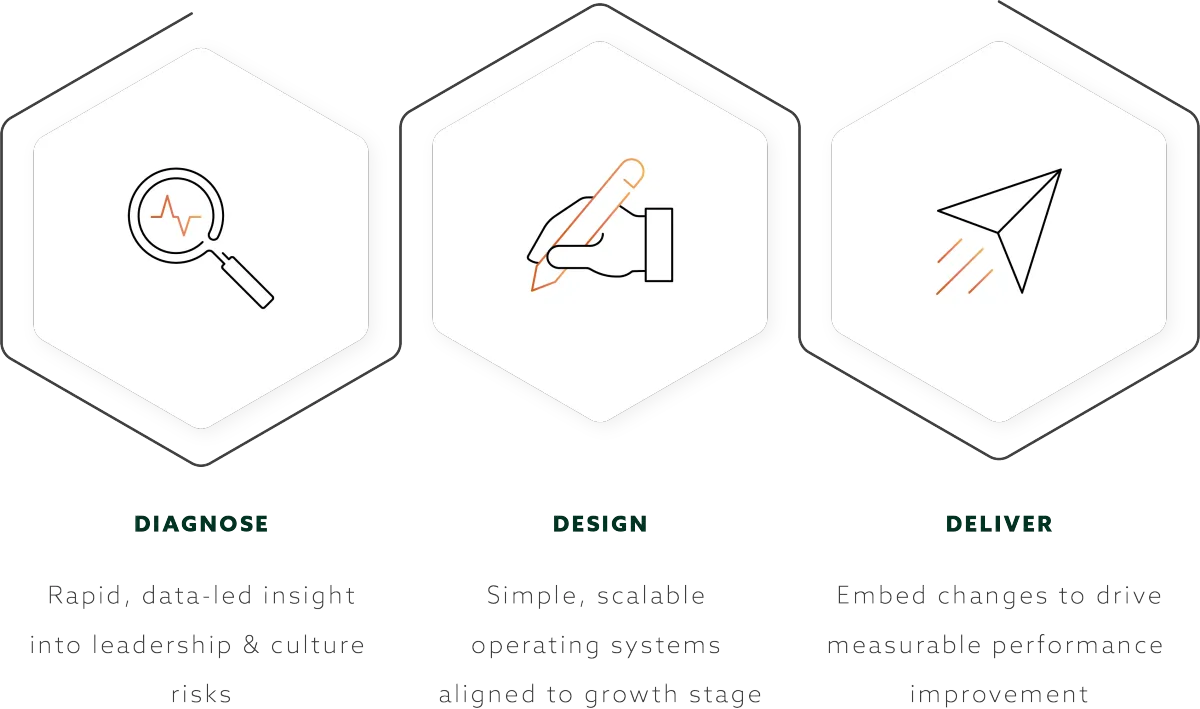 A framework containing three icons, one is a magnifying glass with a heartbeat in the centre, one with a hand holding a pen,and one of a flying paper airplane. Below each icon respectively are the titles Diagnose, Design and Delivery