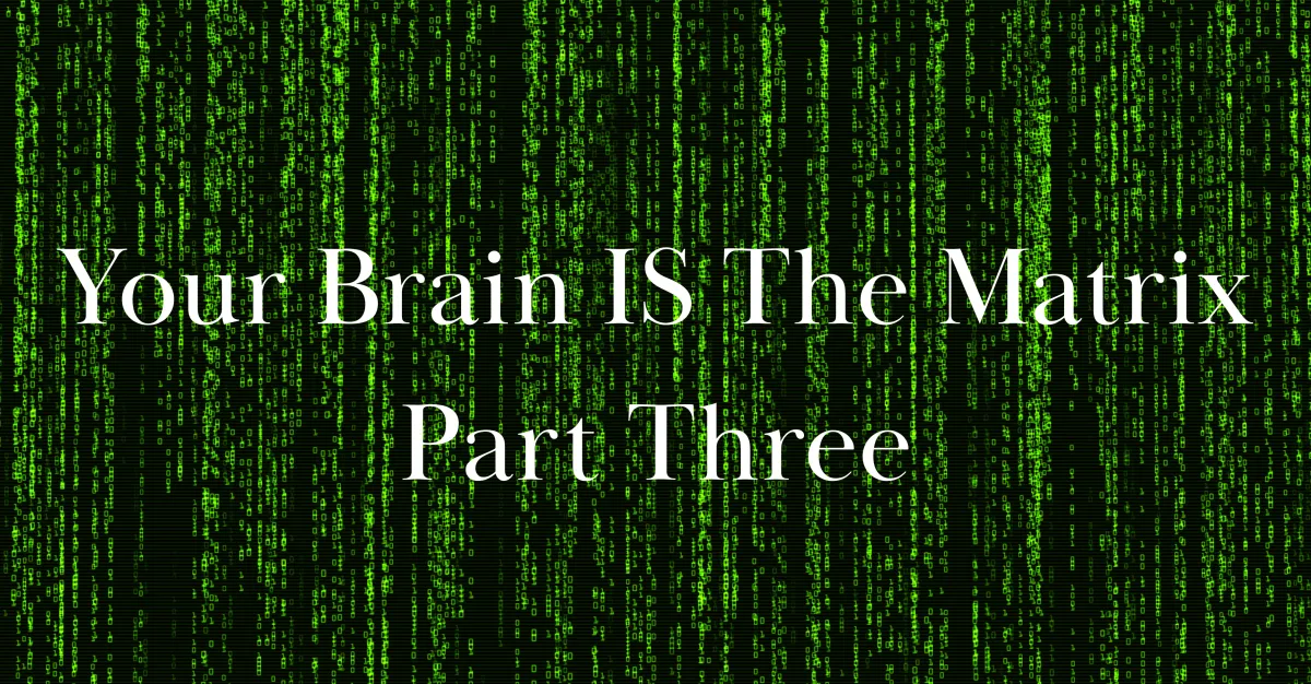 Your Brain Is the Matrix (Part 3): What Happens After You Break Out of the Matrix... 