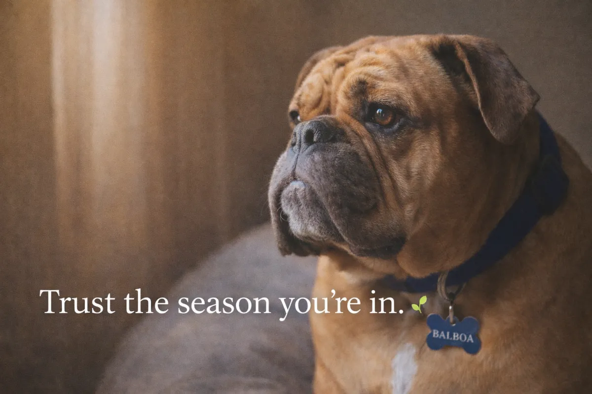 đ± When It Feels Slow: Trusting the Season Youâre In