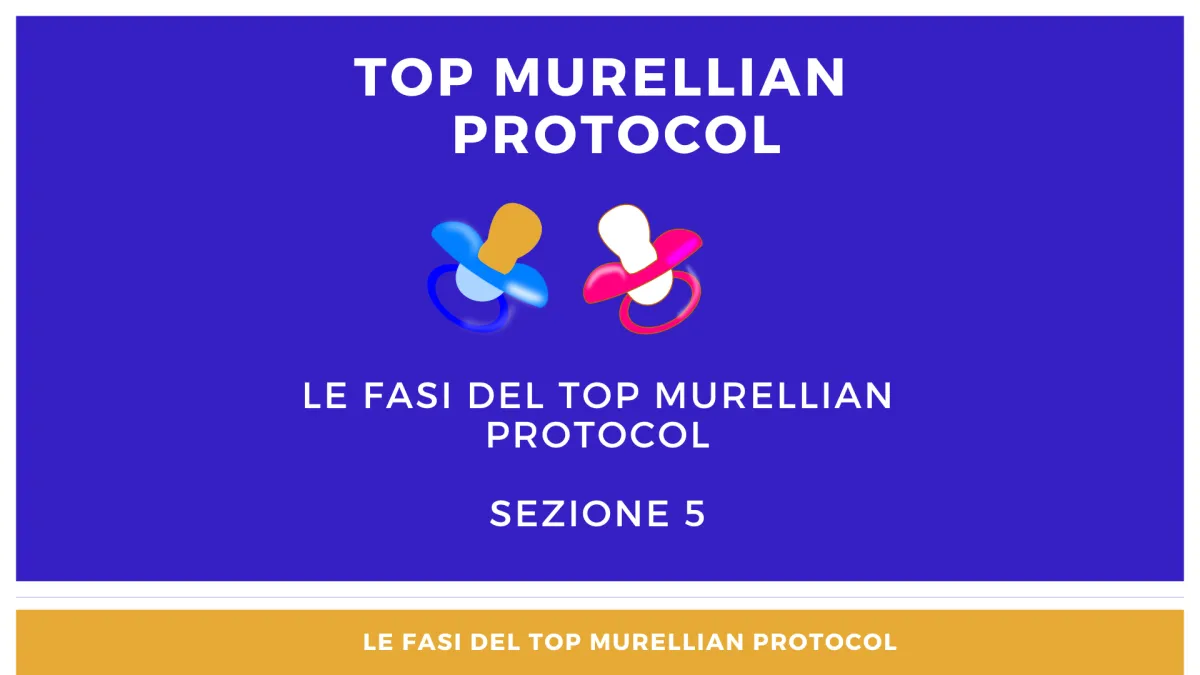 fasi per migliorare la riserva ovarica; riserva ovarica al top; le fasi del top murellian protocol; aumentare amh; riserva ovarica bassa