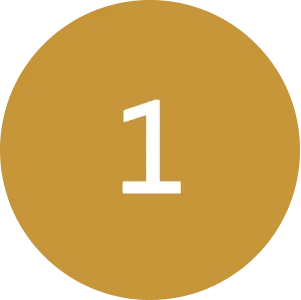 fill in the fom icon