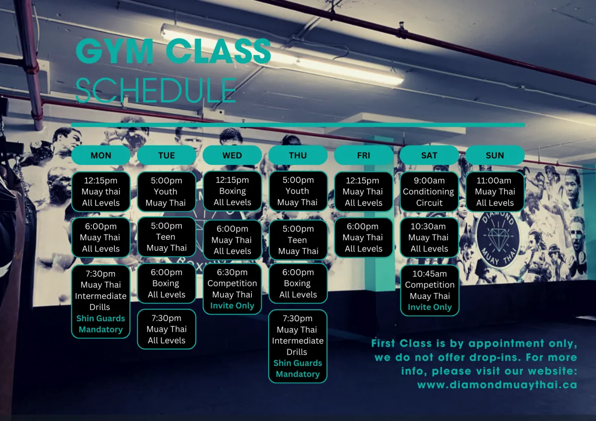 diamond muay thai boxing class times toronto