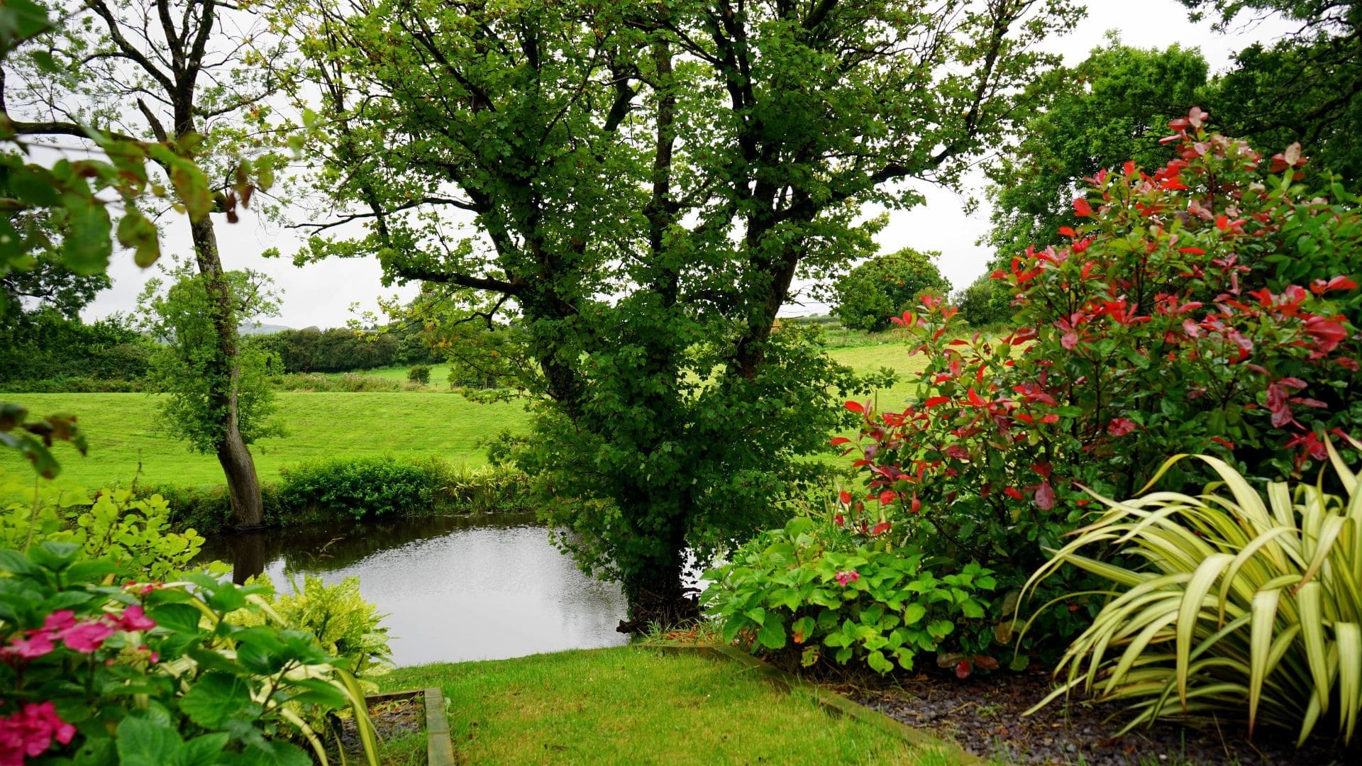 Landscaping And Design