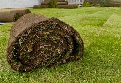 Artificial Turf Installing in Costa Mesa