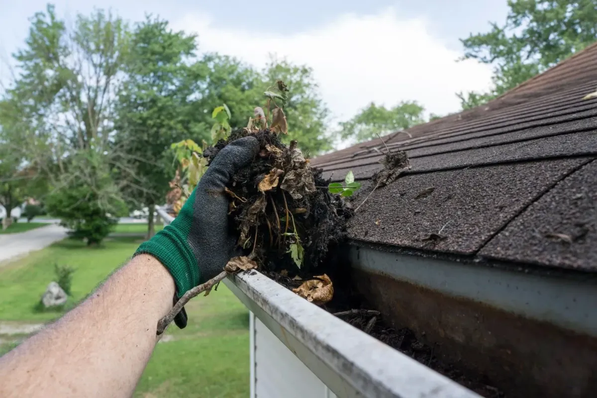 Gutter maintenance Elyria OH