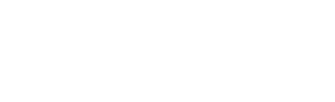 EVDY Logo
