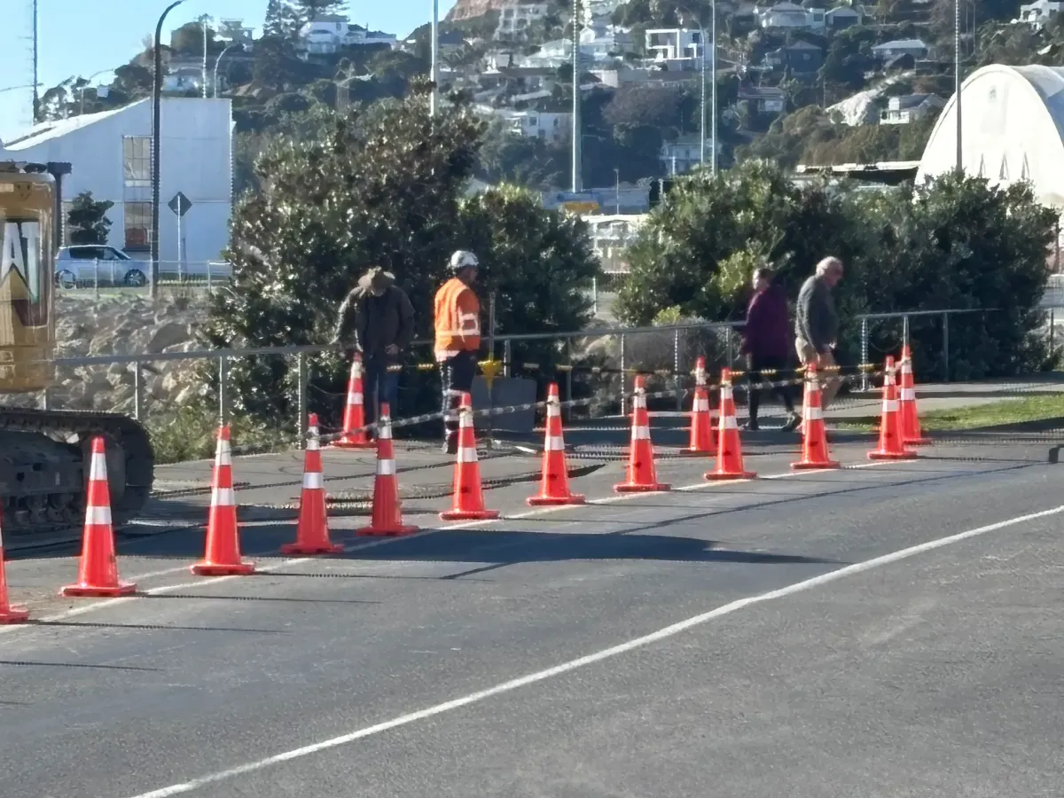Forestry Traffic Management Napier