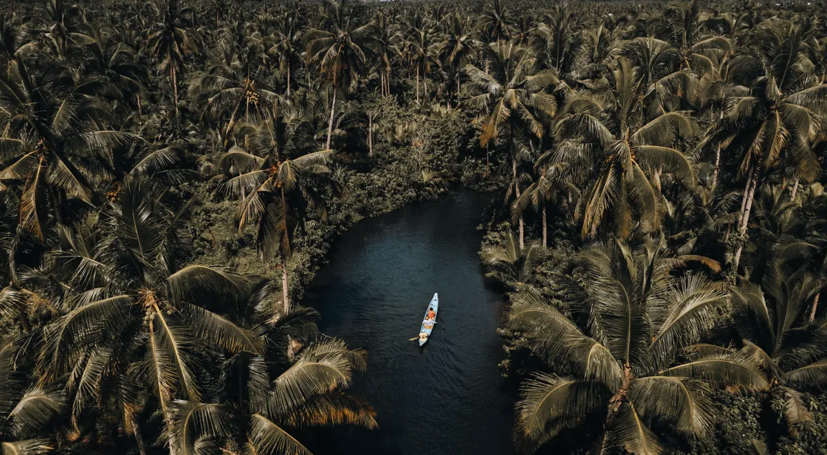Into No Man's Land