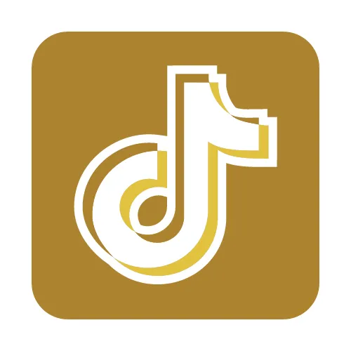 TikTok Symbol