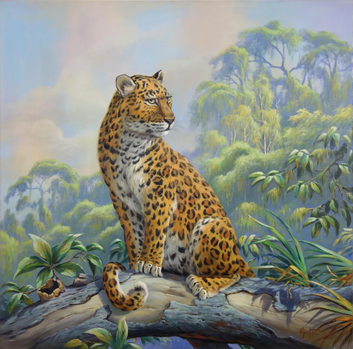 Leopard watching the scene“ von Erich Graf: sitzender Leopard auf Baumstamm vor neblig-grünem Dschungel, Öl auf Leinwand, 100×100 cm.