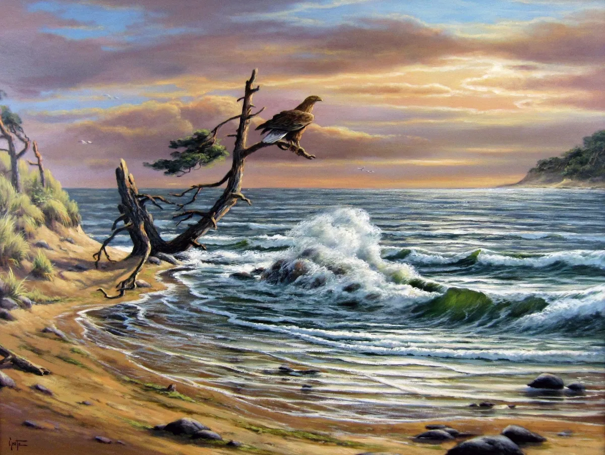„Good View“ von Erich Graf: Küstenlandschaft mit Kiefer und Greifvogel, grüne Brandungswelle im warmen Abendlicht, Öl auf Leinwand, 60×80 cm.