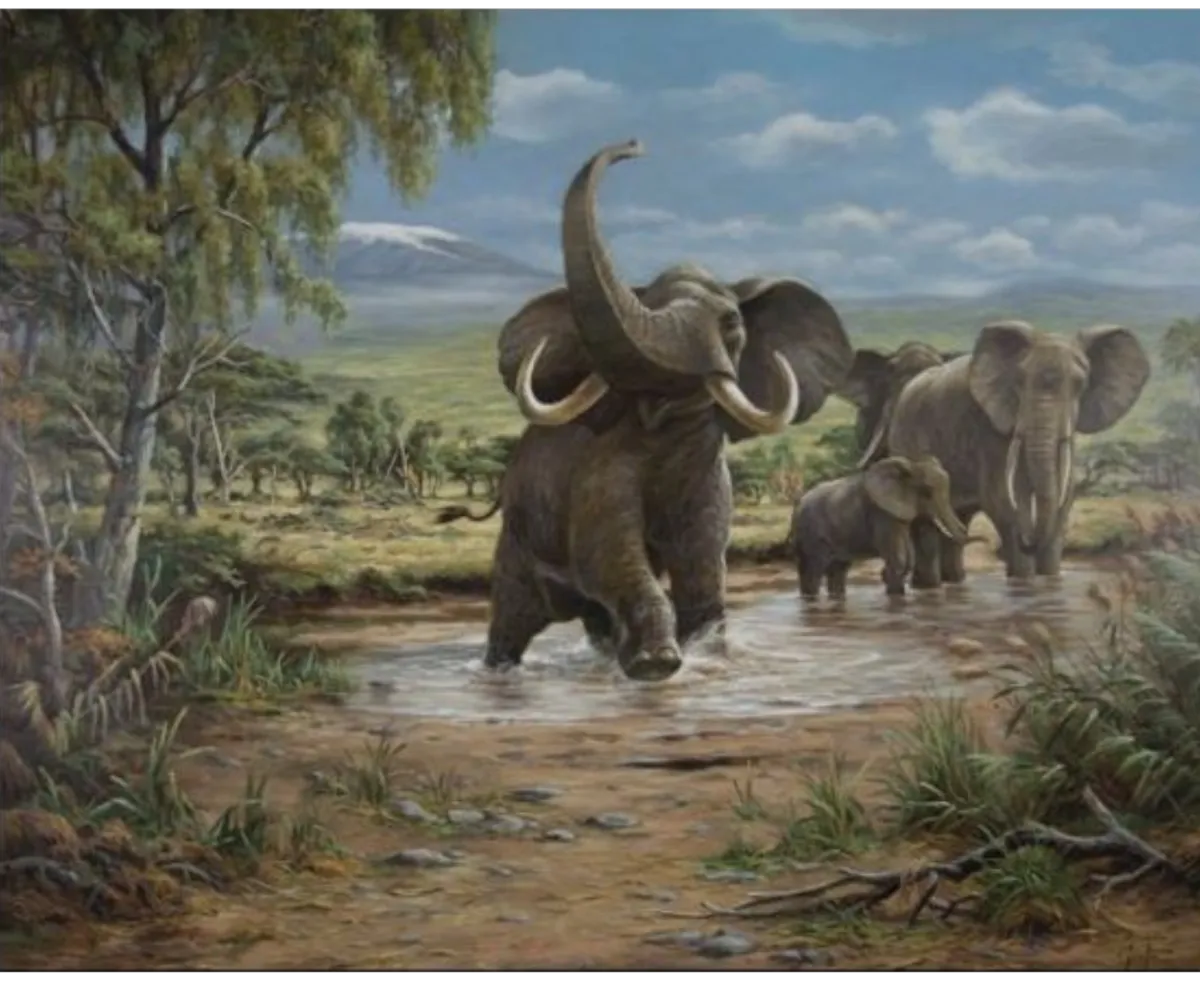 „Elephants on Kilimandscharo“ von Erich Graf: Elefantenherde watet durch eine Wasserstelle, Savanne mit Kilimandscharo im Hintergrund, Öl auf Leinwand, 80×100 cm.