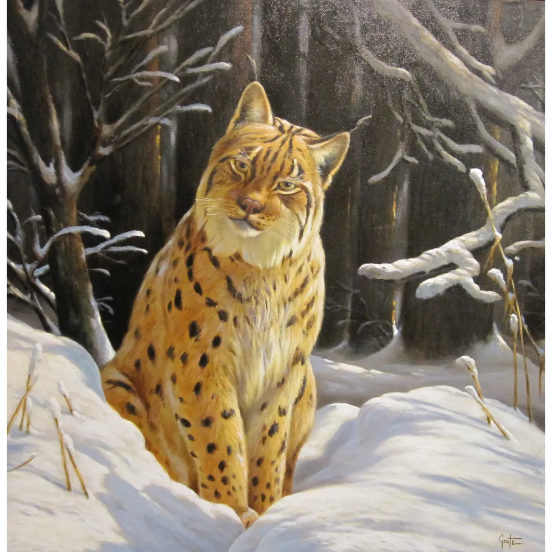 Lynx winter landscape“ von Erich Graf: Luchs im verschneiten Wald, warmes Seitenlicht auf Fell, Öl auf Leinwand, 80×80 cm