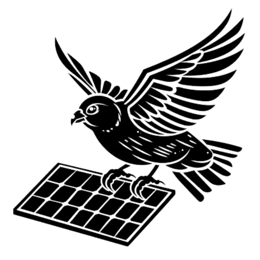 Bird on a solar panel