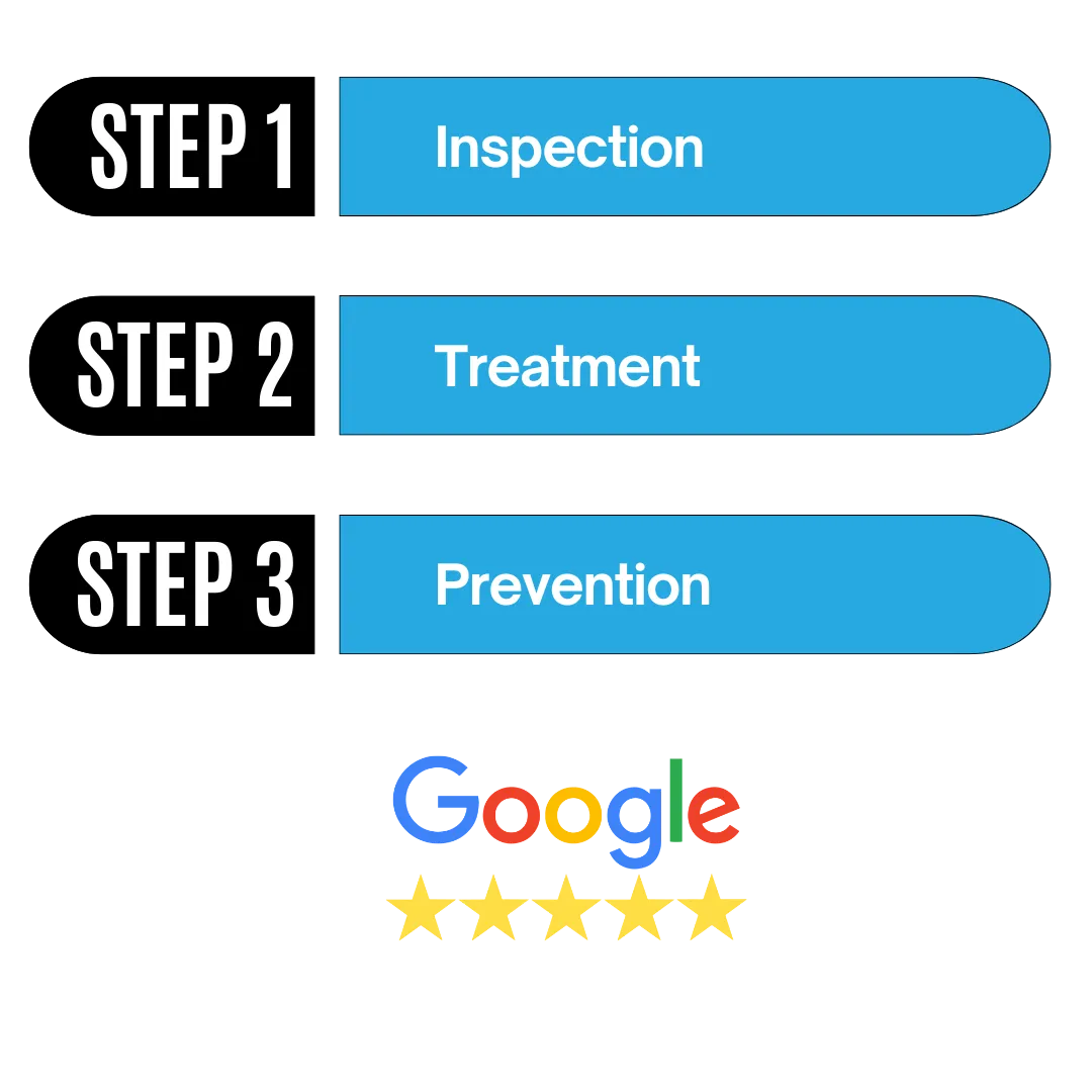3 Step Infograph for Pest Control Process