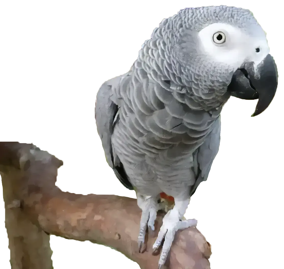 Family walking toward a wooden barn at Lomamäen farm park during golden hour