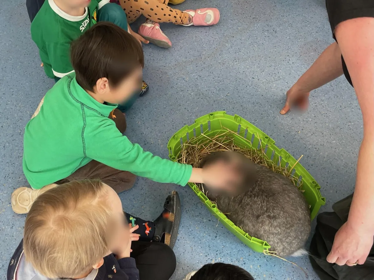 Päivä eläinhoitajana