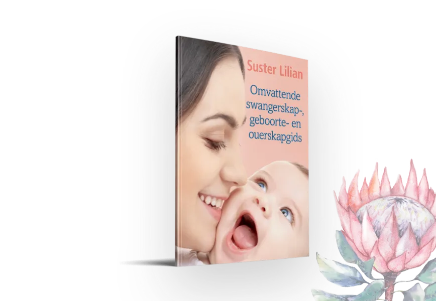 Omvattende Swangerskap-, Geboorte- en Ouerskapgids cover