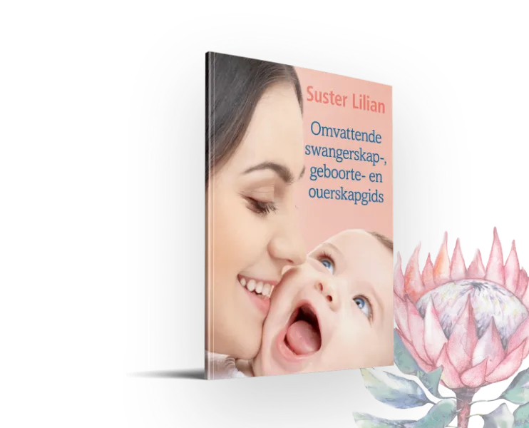 Omvattende Swangerskap-, Geboorte- en Ouerskapgids cover