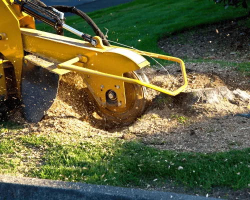 Cherrybrook Stump Grinding