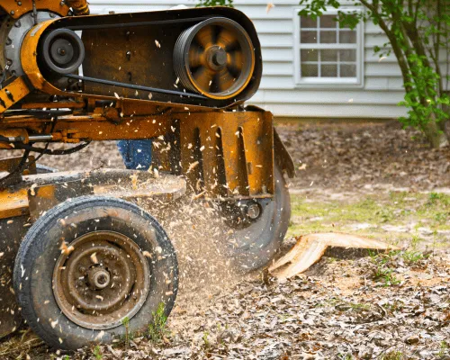 Baulkham Hills Stump Grinding