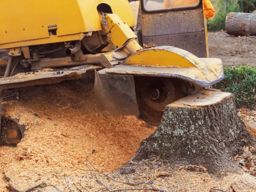 Stump Grinding in Baulkham Hills