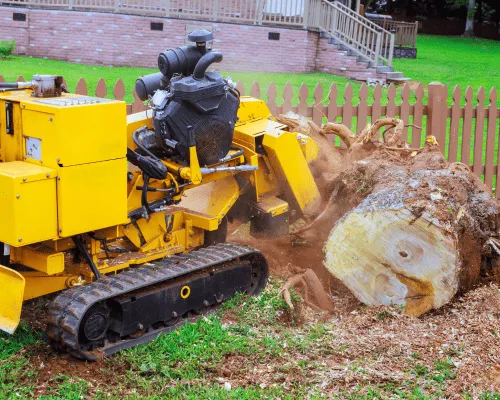 Castle Hill Stump Grinding