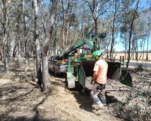Stump Grinding Baulkham Hills