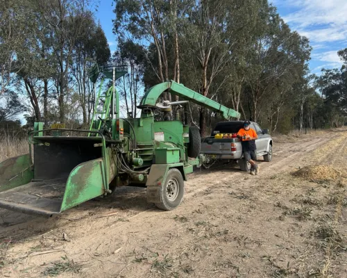 Tree Removal Baulkham Hills