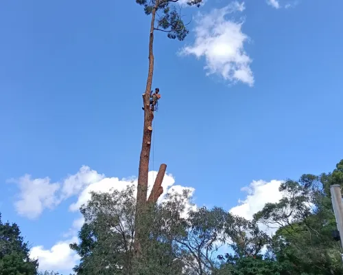 Baulkham Hills