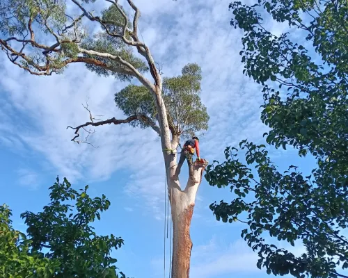 Baulkham Hills