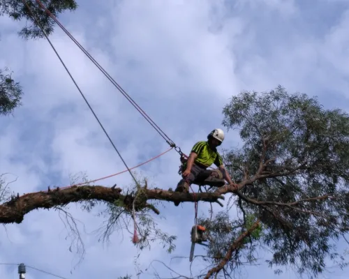 Baulkham Hills Emergency Work