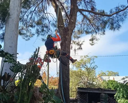 Cherrybrook Emergency Work