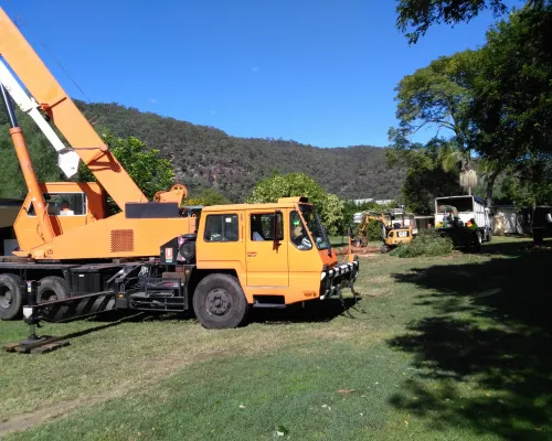 Tree Pruning Baulkham Hills