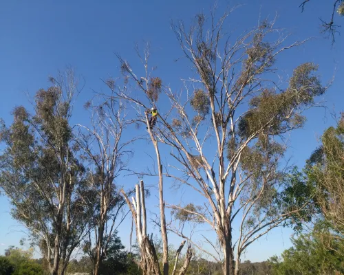 Emergency Work Baulkham Hills